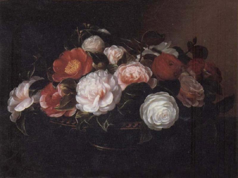 Jensen Johan Camellias oil painting image